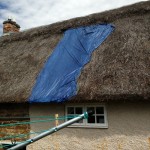 Full thatched roof repair