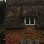Old Thatched Roof Repairs