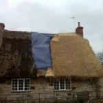Thatched Roof Re-Thatch