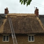 Thatched Roof Repairs