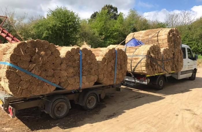 Thatch Delivery Organisation