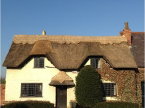 thatched-roof-re-ridge