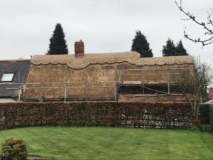 Re-Thatch-Packington-During