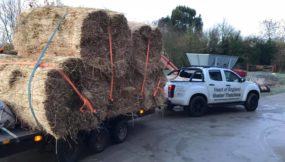 How Do We Transport Our Thatch?